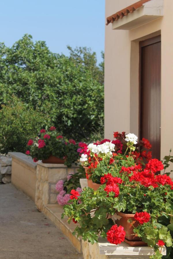 Apartments By The Sea Veli Rat, Dugi Otok - 436 Экстерьер фото